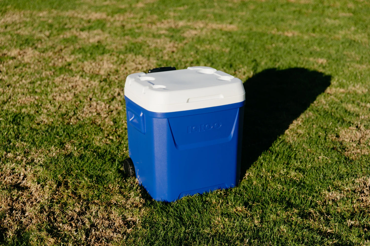 IGLOO Laguna 57L Wheeled Cool Box 12 IGLOO Laguna 57L Wheeled Cool Box - Image 12