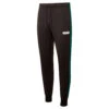 PUMA Mens Track Pants - Black